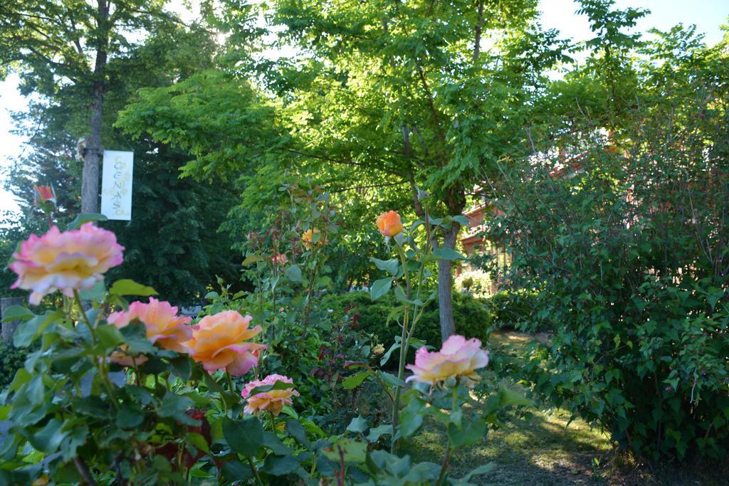 Hospedium Hostal Almanzor ナバレドンダ・デ・グレドス エクステリア 写真